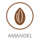 Amandel