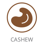 Cashew