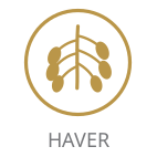 Haver