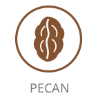 Pecan