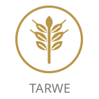 Tarwe