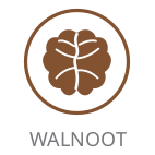 Walnoot